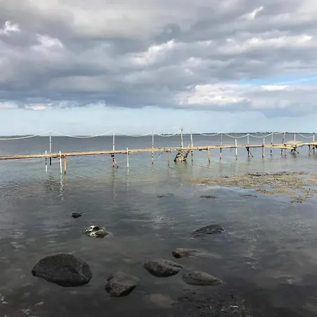 5 Star In Fåborg